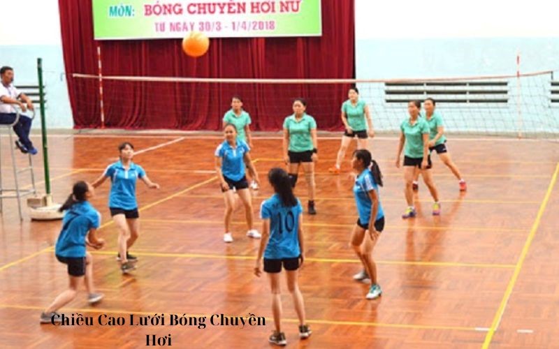 Chiều Cao Lưới Bóng Chuyền Hơi