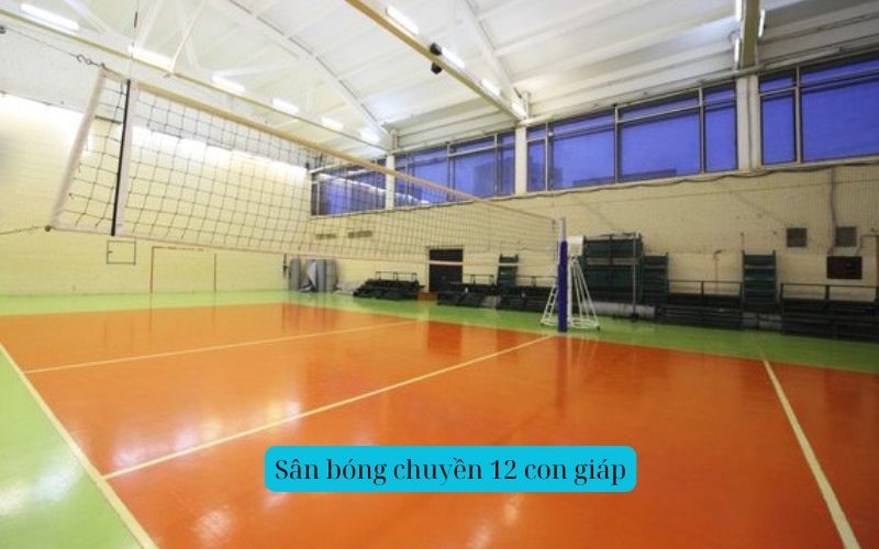 Sân bóng chuyền 12 con giáp