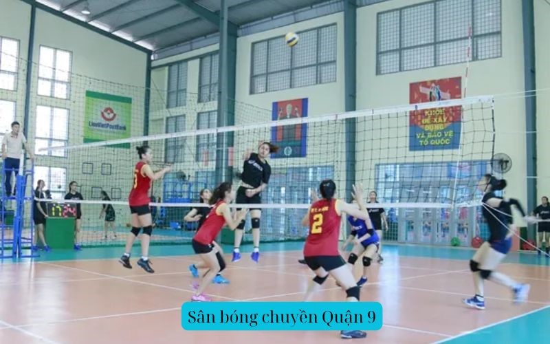 Sân bóng chuyền Quận 9