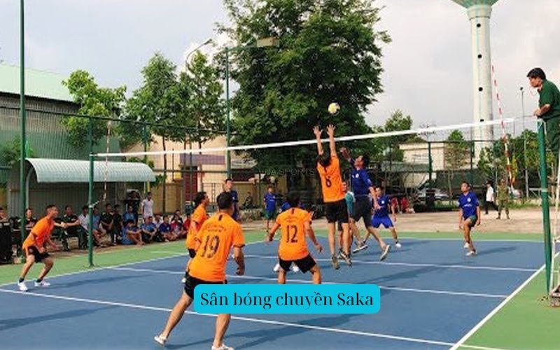 Sân bóng chuyền Saka