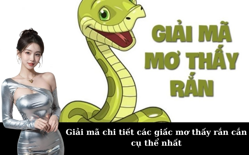 Giải mã chi tiết các giấc mơ thấy rắn cắn cụ thể nhất