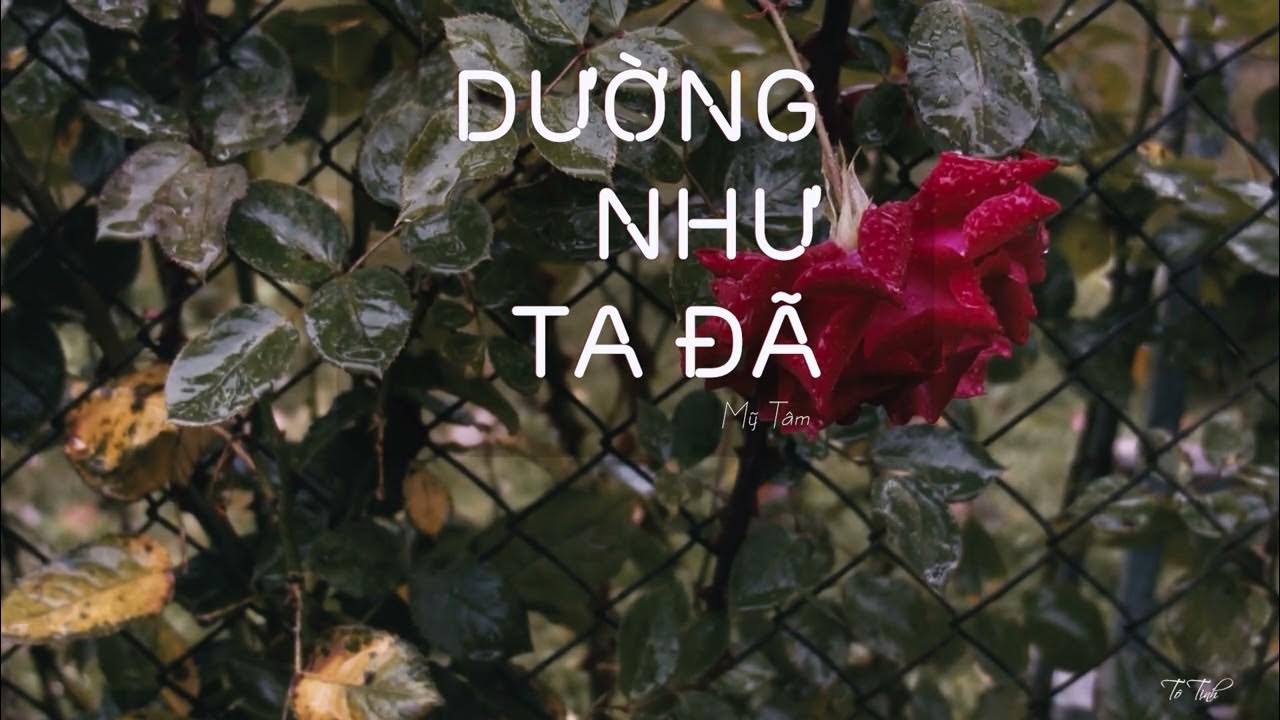 duong-nhu-ta-da