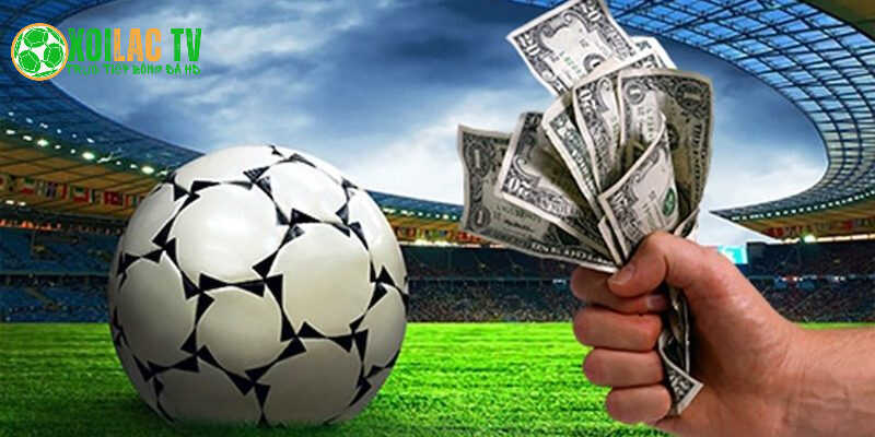Người hâm mộ có thể dễ dàng nắm bắt chi tiết diễn biến trận đấu
