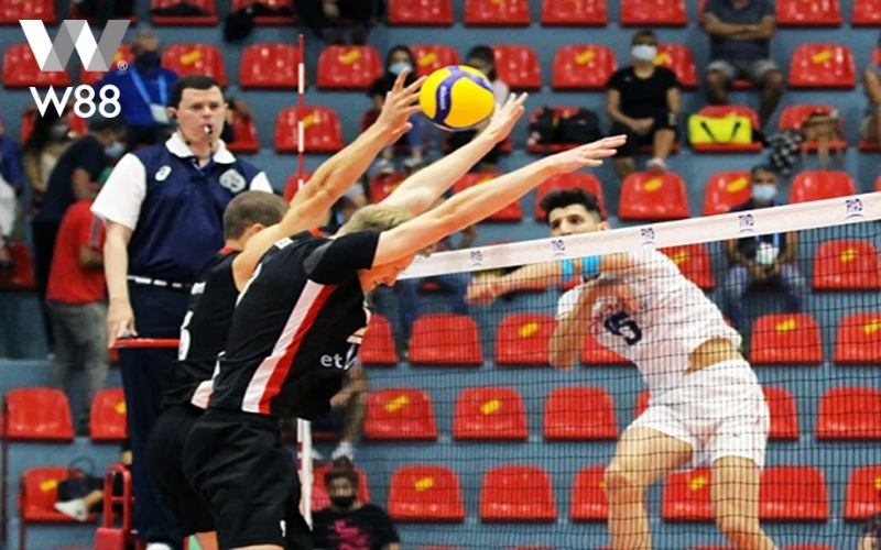 Các loại cược phổ biến