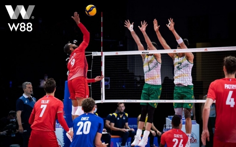 Thị trường cá cược bóng chuyền đang phát triển thế nào